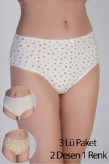 5002-Yarım Bel Bikini Penye 3 lü Külot (Kutulu) 365002