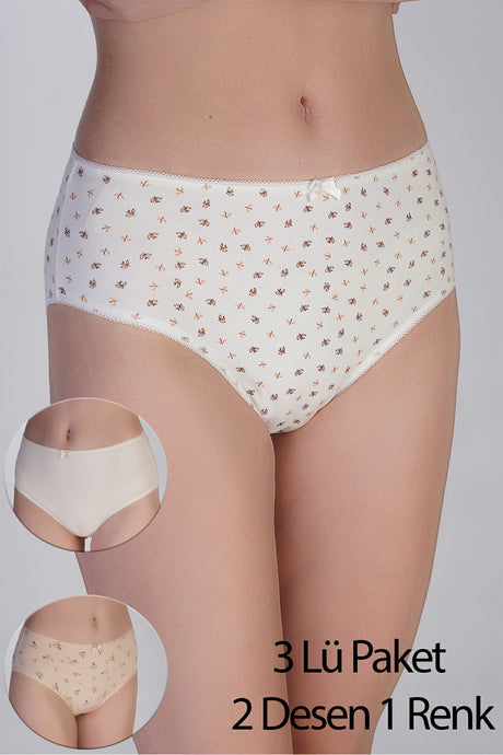 5002-Yarım Bel Bikini Penye 3 lü Külot (Kutulu) 365002